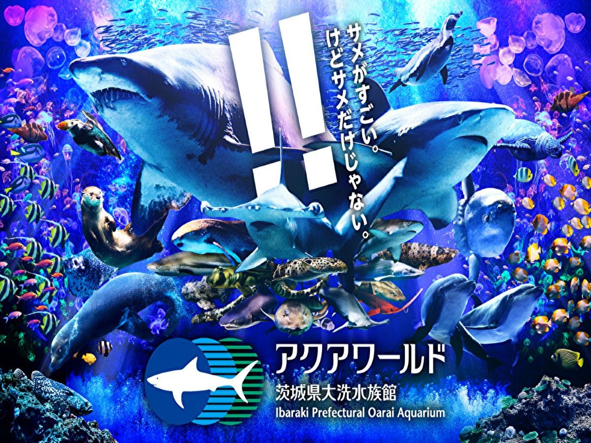 (สถานที่ท่องเที่ยวใกล้เคียง) พิพิธภัณฑ์สัตว์น้ำ Aqua World Oarai