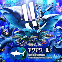 (สถานที่ท่องเที่ยวใกล้เคียง) พิพิธภัณฑ์สัตว์น้ำ Aqua World Oarai