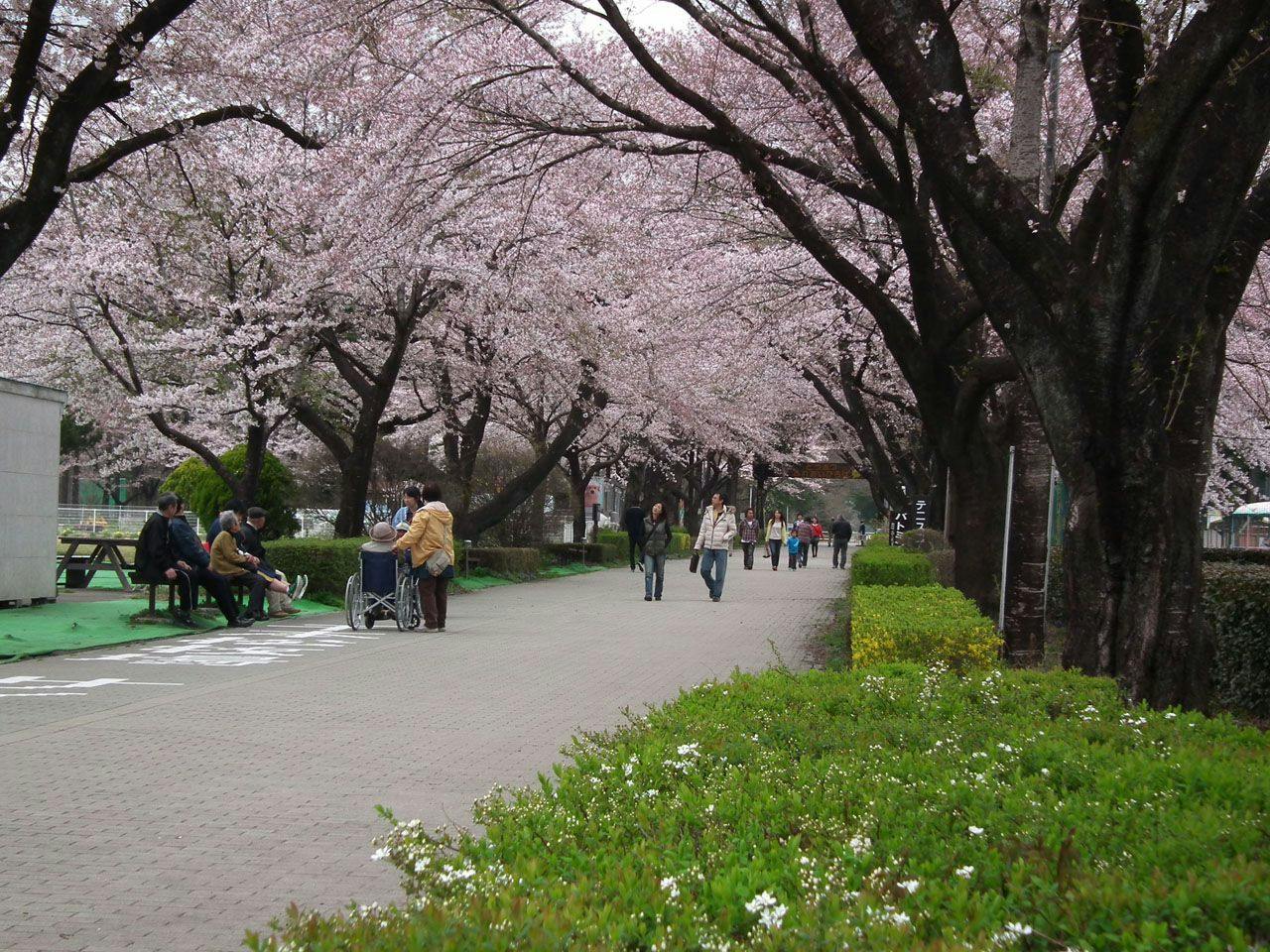 Miyagawa Main Building
