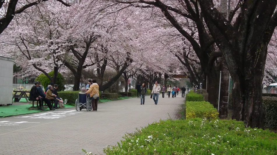 Miyagawa Main Building