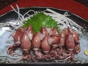 居酒屋民宿　富士美荘