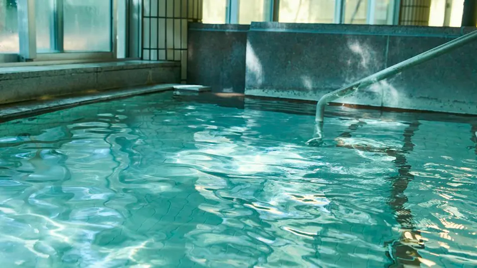 Kamenoi Hotel Kitsuregawa