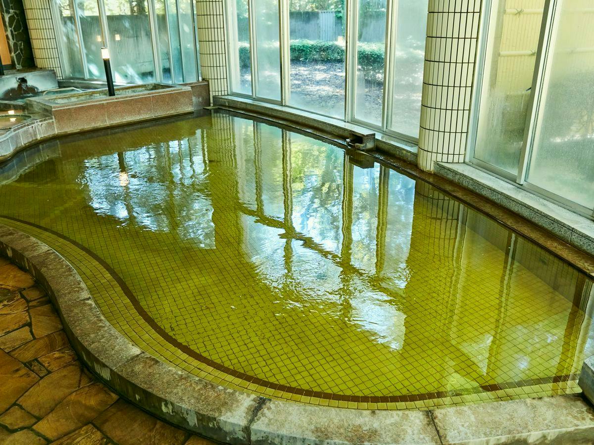 Kamenoi Hotel Kitsuregawa