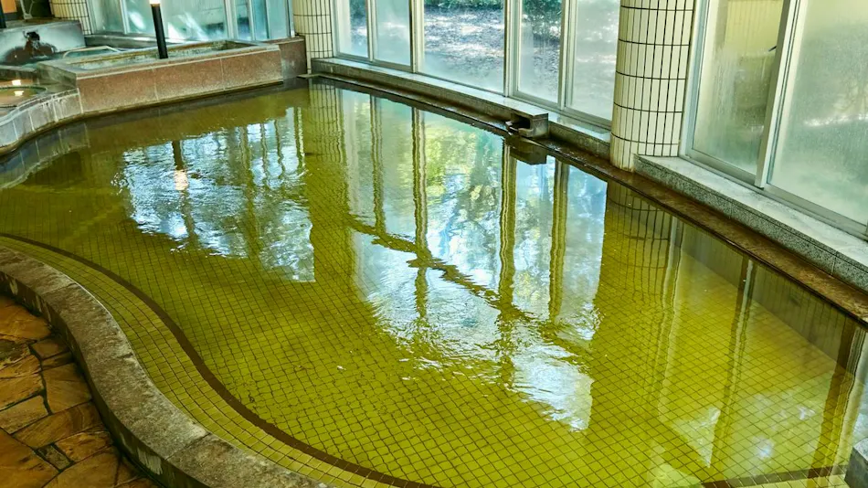 Kamenoi Hotel Kitsuregawa