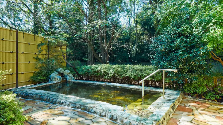 Kamenoi Hotel Kitsuregawa