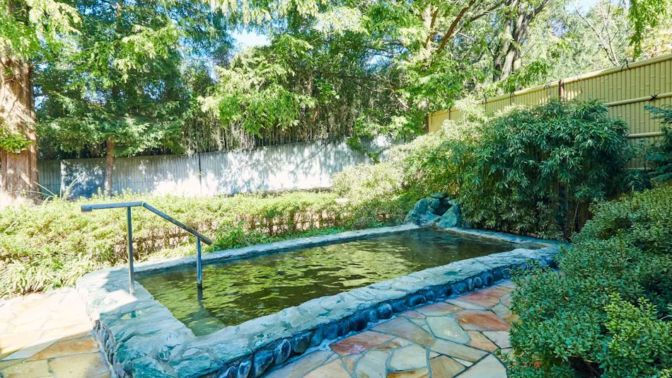 Kamenoi Hotel Kitsuregawa