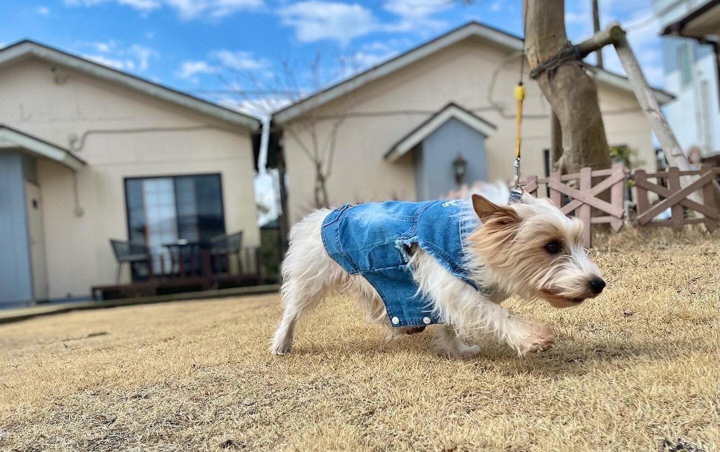 Ducale Garden Hotel Kujukuri