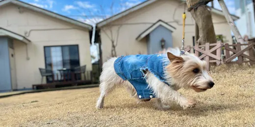 Ducale Garden Hotel Kujukuri