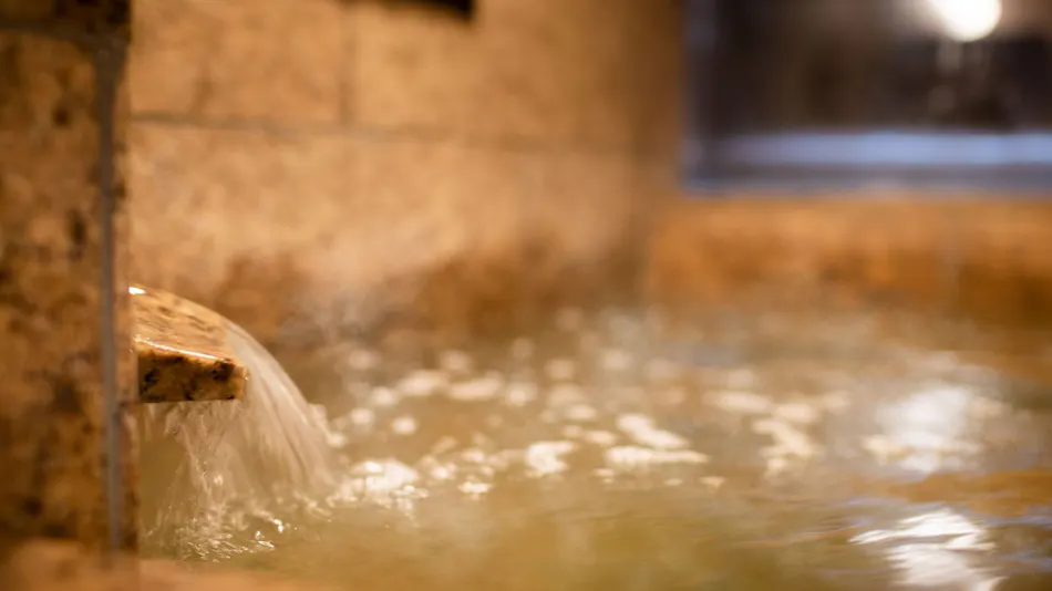 Natural Hot Spring Soranuma no Yu Super Hotel Sapporo Susukino