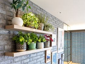 スーパーホテル御殿場Ⅰ号館 　天然温泉　御汲の湯