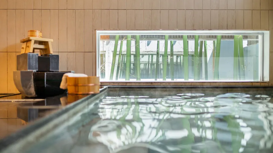 Natural Hot Spring Mikumi no Yu Super Hotel Gotenba 1st Building