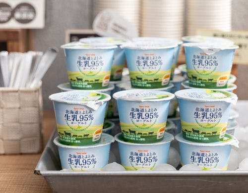 乳酸菌たっぷりのヨーグルトで朝から健康に