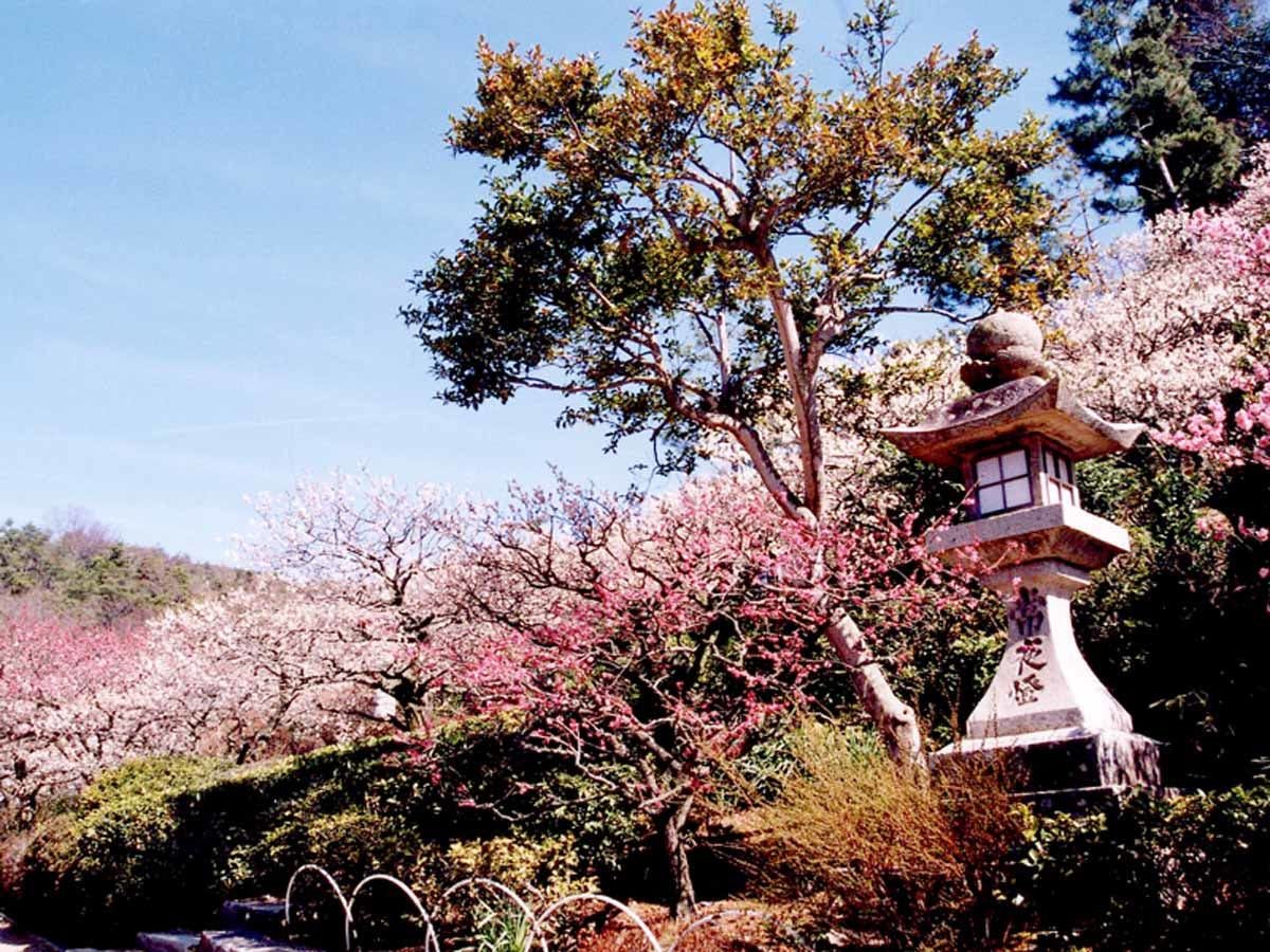 【中山寺】