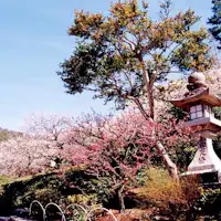 【中山寺】