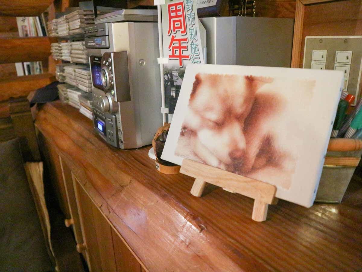 Canadian Log House Inn Azumino Yujin