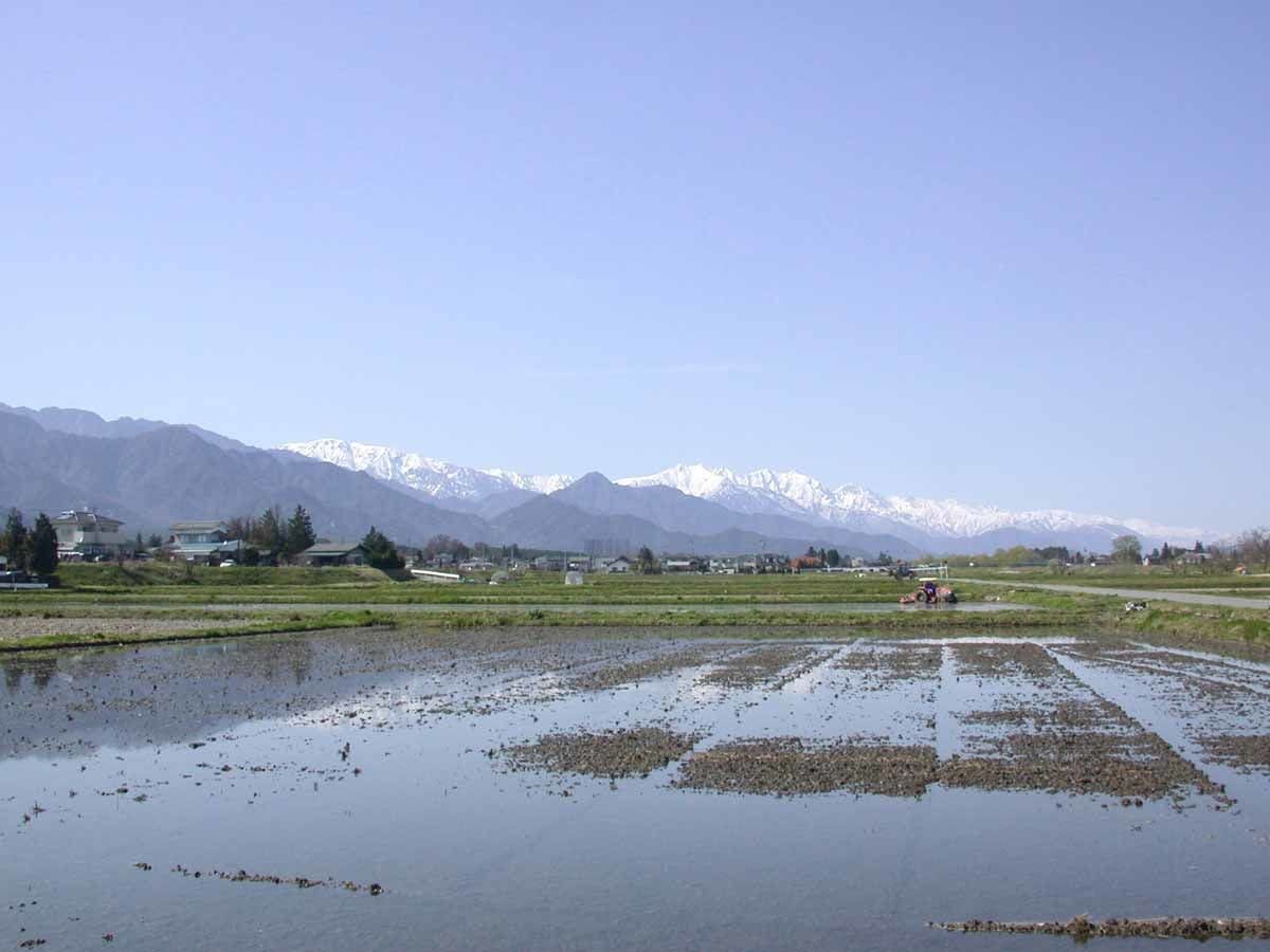 เทือกเขาแอลป์