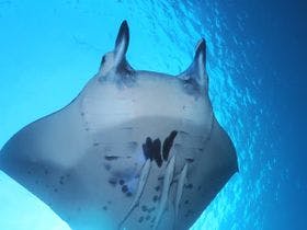 ペンションニュー浜乃荘