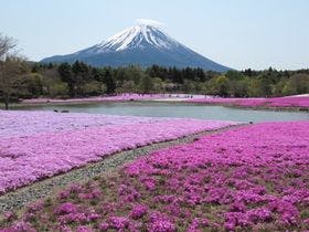 リゾートペンション　もとす