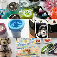 มีบริการให้เช่าอุปกรณ์สัตว์เลี้ยง (จำนวนจำกัด)