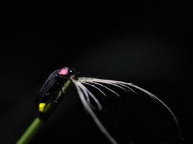 湯元 久米川温泉