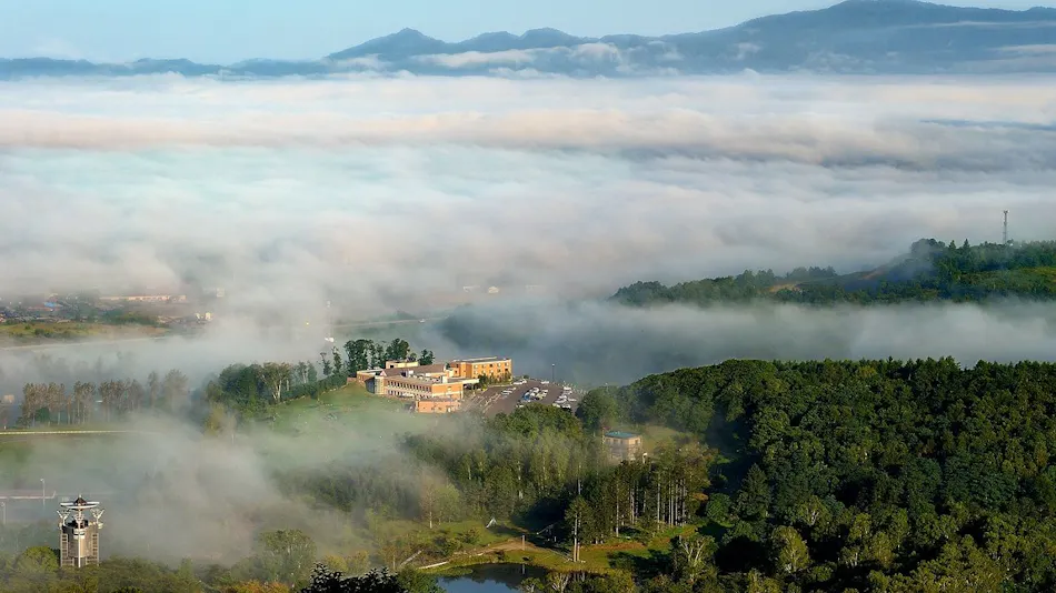 Blue Cave Onsen Pipa no Yu Yuurin-kan