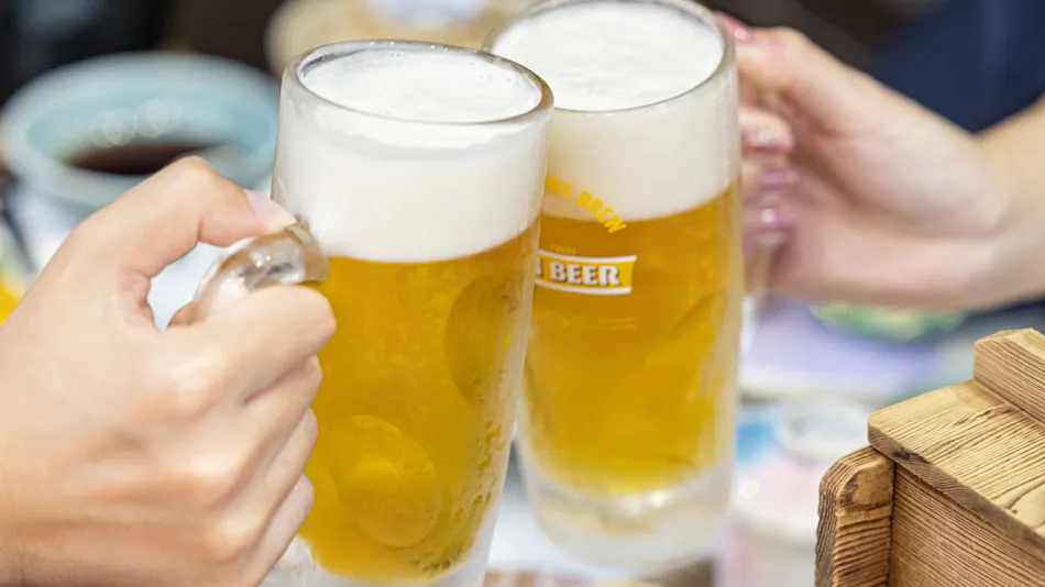 Chikugo Funagoya Park Inn