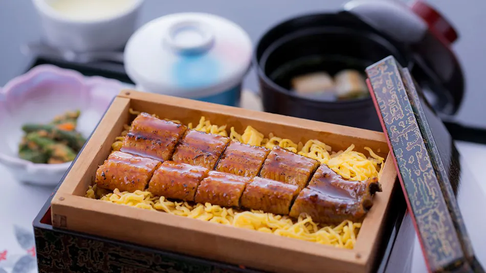 Chikugo Funagoya Park Inn