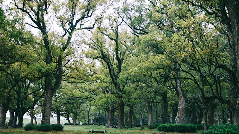 Chikugo Funagoya Park Inn