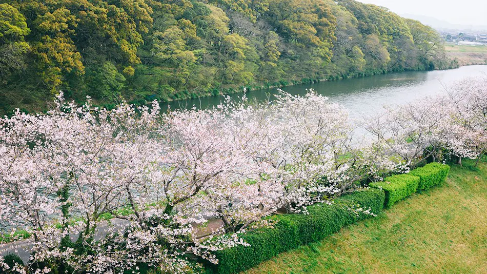 Chikugo Funagoya Park Inn