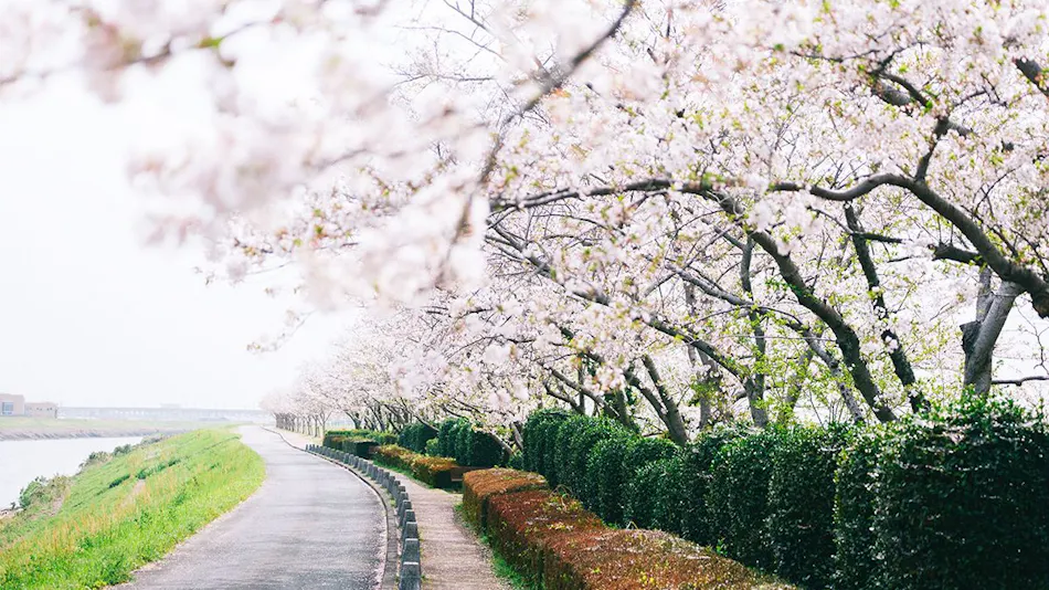 Chikugo Funagoya Park Inn