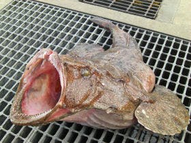 下風呂観光ホテル　三浦屋