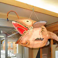 Fasilitas: Lentera ikan angler khas