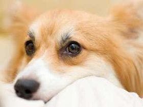 ホテル　ファミリーオみなかみ＜JR東日本ホテルズ＞