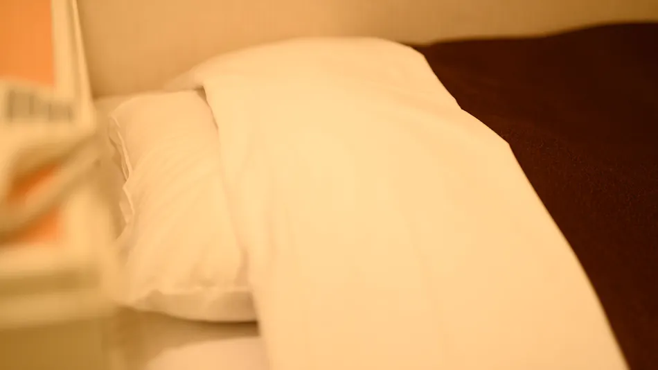 Sabae City Hotel