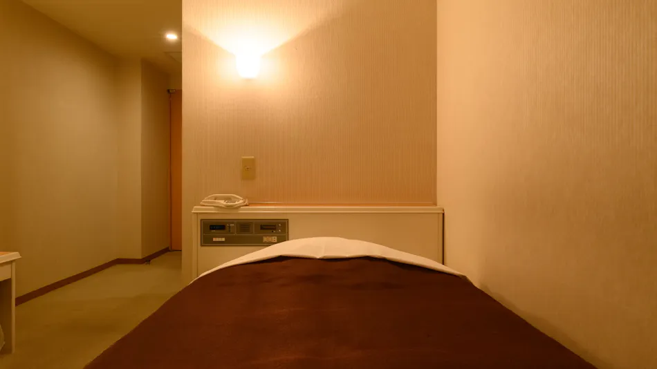 Sabae City Hotel