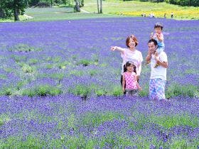 ホテル　ベラヴィータ