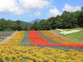 ホテル　ベラヴィータ