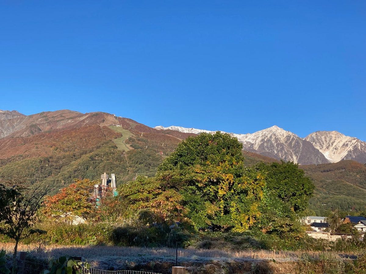 Musim gugur tahun ini di Hakuba!