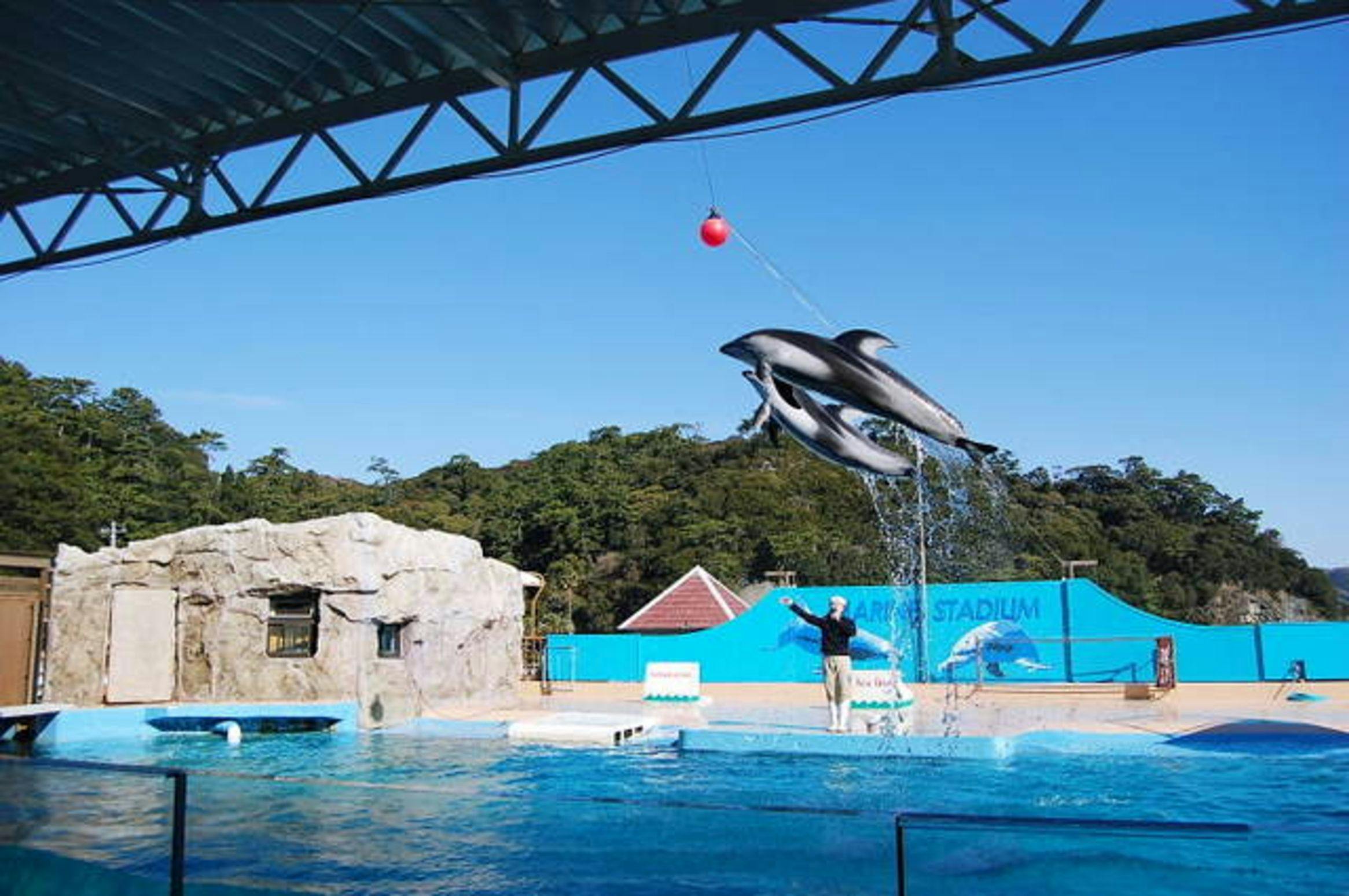 พิพิธภัณฑ์สัตว์น้ำชิโมดะ ใช้เวลา 10 นาทีโดยรถยนต์