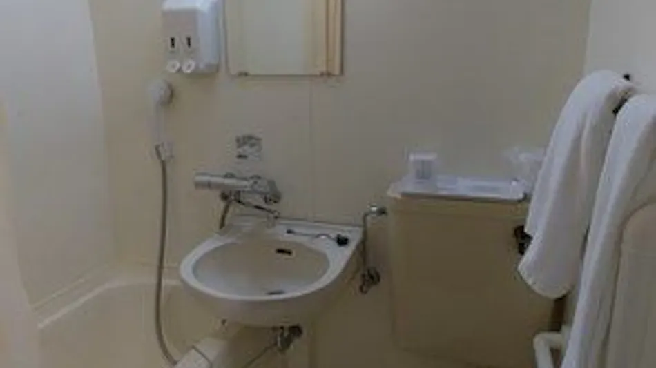 Futsukaichi Green Hotel