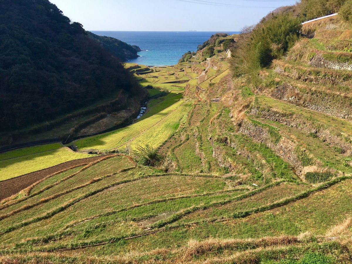 【Tempat Wisata Terdekat】