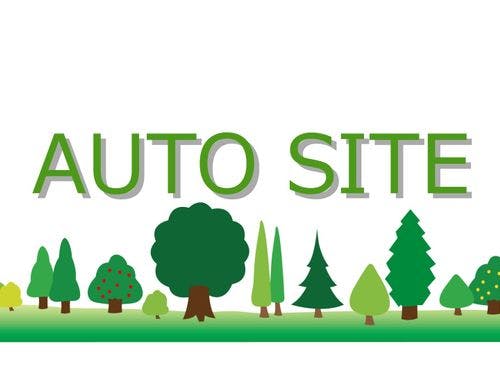 *AUTO SITE