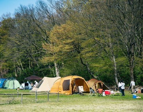 *【テントサイト】