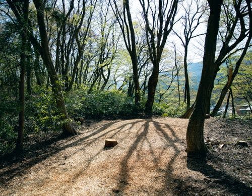 *【テントサイト】