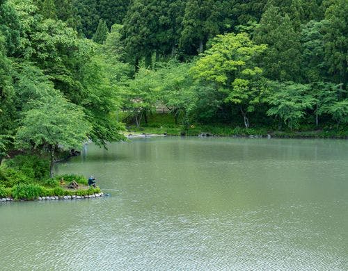 *【フィッシング】