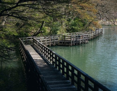 *【フィッシング】