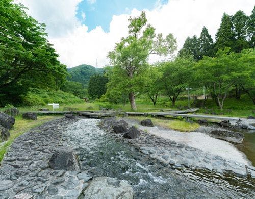 *【水辺植物園】