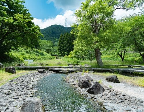 *【水辺植物園】