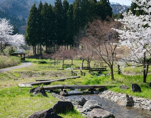 *【水辺植物園】