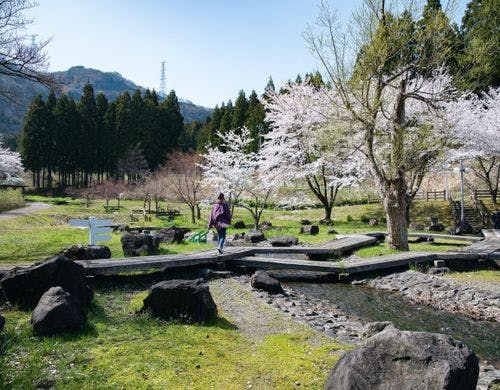 *【水辺植物園】